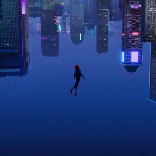 spidersjournal